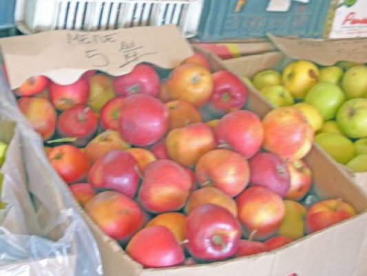 Constănţenii preferă merele importate, mai scumpe şi mai puţin gustoase